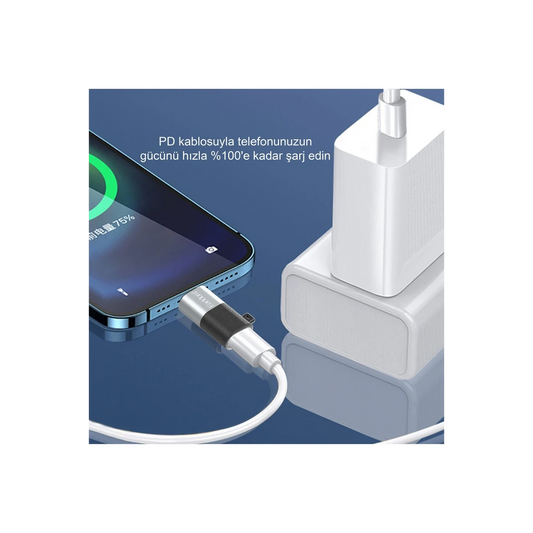 Earldom TC17 Tak Çalıştır Lightning to Type-C Dönüştürücü - Gümüş